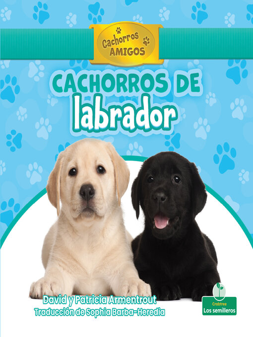 Title details for Cachorros de labrador (Labrador Retriever Puppies) by David Armentrout - Available